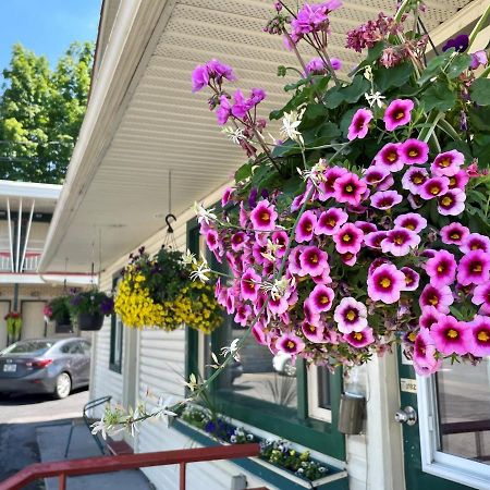 Motel Saint-Hilaire Мон-Сент-Илер Экстерьер фото